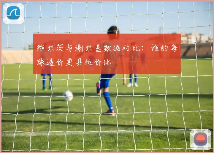 维尔茨与谢尔基数据对比：谁的每球造价更具性价比